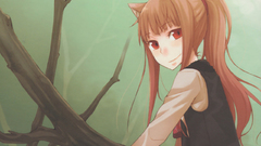 Spice and wolf animal