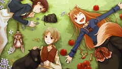 Spice and wolf animal