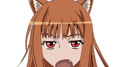 Spice and wolf animal