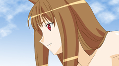 Spice and wolf animal