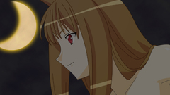 Spice and wolf animal