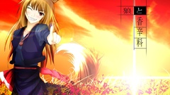 Spice and wolf animal