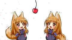 Spice and wolf animal