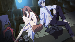 Spice and wolf animal