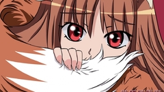 Spice and wolf animal