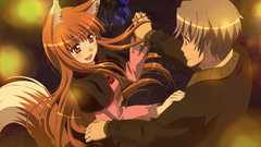 Spice and wolf animal