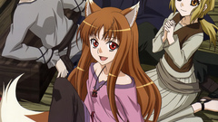 Spice and wolf animal