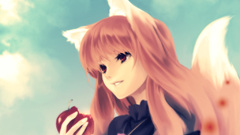 Spice and wolf animal