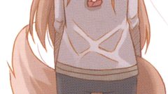 Spice and wolf animal