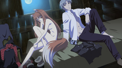 Spice and wolf animal