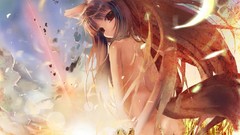Spice and wolf animal