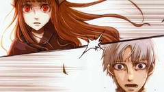 Spice and wolf craft