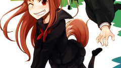 Spice and wolf craft lawrence Holo The Wise Wolf Amati Fermi 