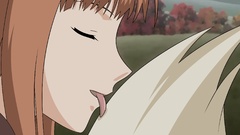 Spice and wolf licking