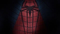 Spider-Man 2014 The Amazing Spiderman 2