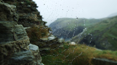 Spider webs Landscapes water