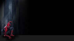 Spiderman by timlori gotchu