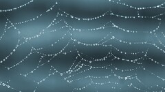 spiderwebs water drops macro Simple Background