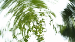 Spinning leaves nature water