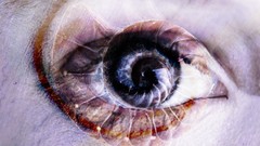 Spirals Michael Plaster