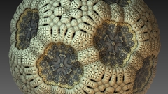 Spore by hyperben2 high