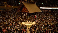Sports audience sumo