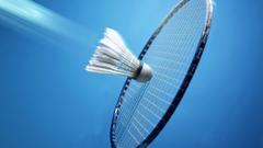 Sports badminton