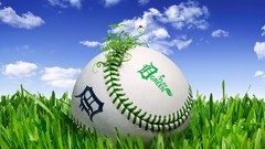 Sports baseball Detroit Tigers