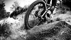 Sports Bicycles Red Bull bmx