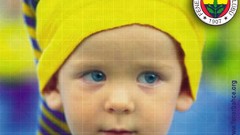 Sports blue eyes soccer Fenerbahce Spor