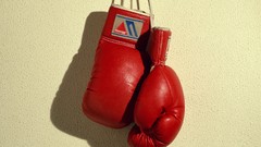 Sports boxing gloves