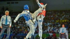 Sports fight Fighting kick WTF olympics taekwondo kicking