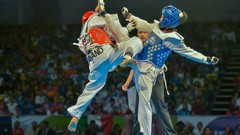 Sports fight Fighting kick WTF olympics taekwondo kicking