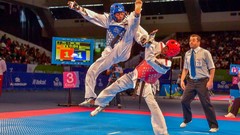 Sports fight Fighting kick WTF olympics taekwondo kicking