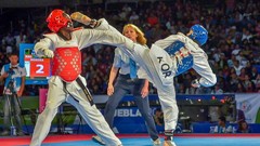 Sports fight Fighting kick WTF olympics taekwondo kicking