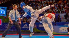 Sports fight Fighting kick WTF olympics taekwondo kicking