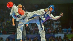 Sports fight Fighting kick WTF olympics taekwondo kicking