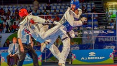 Sports fight Fighting kick WTF olympics taekwondo kicking