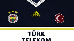 Sports football teams Fenerbahce