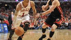 Sports nba basketball derrick