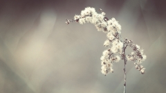 Spring before voidcontext