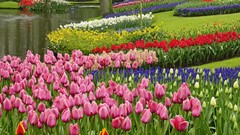 Spring Garden The Netherlands