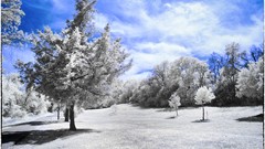 Spring infrared afternoon Spada