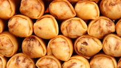 Spring rolls sum food