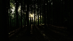 Spring warm 1680x1050