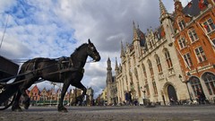 Squares Horses Drawn Belgium market