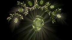 Star chamber abstract