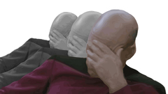 Star Trek captain facepalm