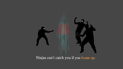 Star Trek ninjas ninjas