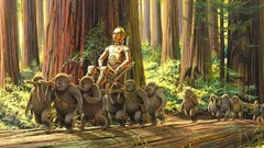 Star wars C3PO artwork